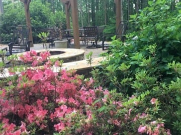 Pergola_Azalea_Spring_Firepit_TheInspiredGarden_patio